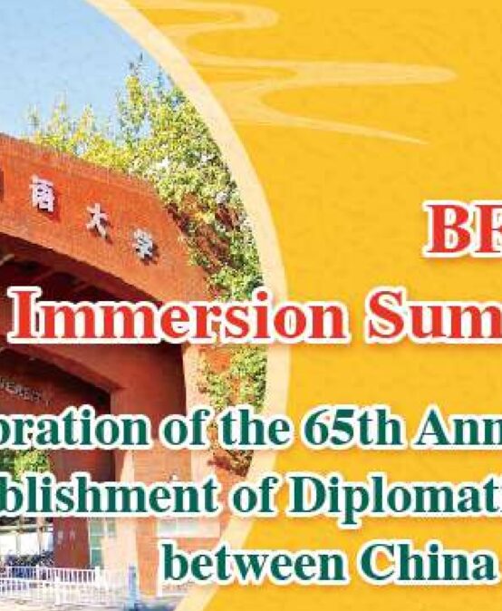 Call for Application for BFSU Online Chinese Immersion Summer Camp – 2022