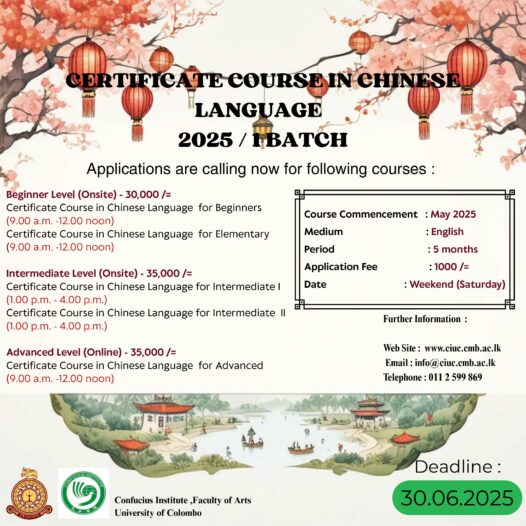 Chinese Language Certificate Courses 2025 (1st batch)